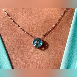 925 Sterling Silver Pisces Pendant/Encased Blue Stone & SS Adjustable Necklace